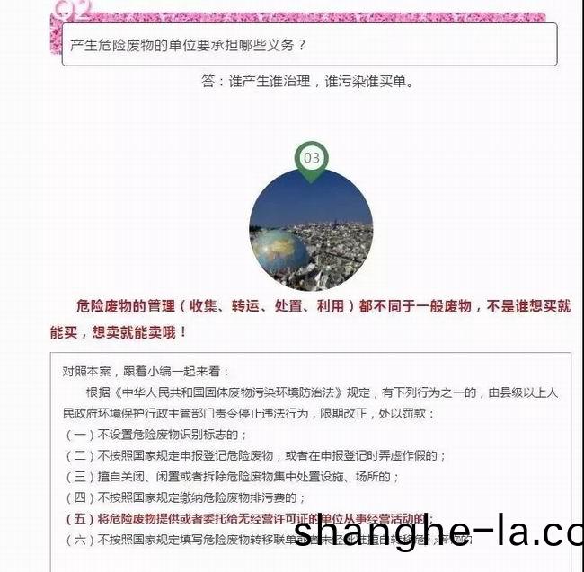 640.webp (13)